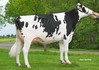 Bouw Epic Finola