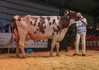 De Wijde Blik Corrie 679