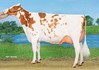 De Wijde Blik Mariegold 6a