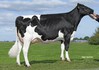 Delta Nolita VG-86