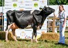 Drouner Anna 1427