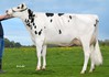 HaS White Bay 0122212326 Battlecry