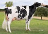 HLB 3STAR OH Rosanne P RDC