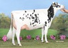 Koepon Rubi Classy 267