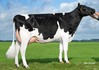 Midwolder Marjon 168