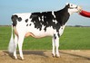 Milksource LB Snapple RDC