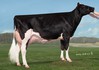 Ms Apples Aria RC