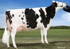 MS Atlees Shottle Aubry