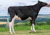 Ms Blexys Belinda