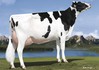Pen-Col SS Milly family member