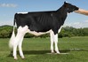 RI-Val-Re Lariat 4209-ET