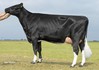 S R Neblina VG-88