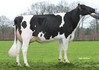Willem's Hoeve Marcia P RDC