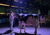 Willem's-Hoeve Rita 2679