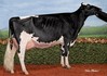 Winterbay Fever Legacy
