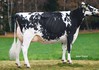 XENIA